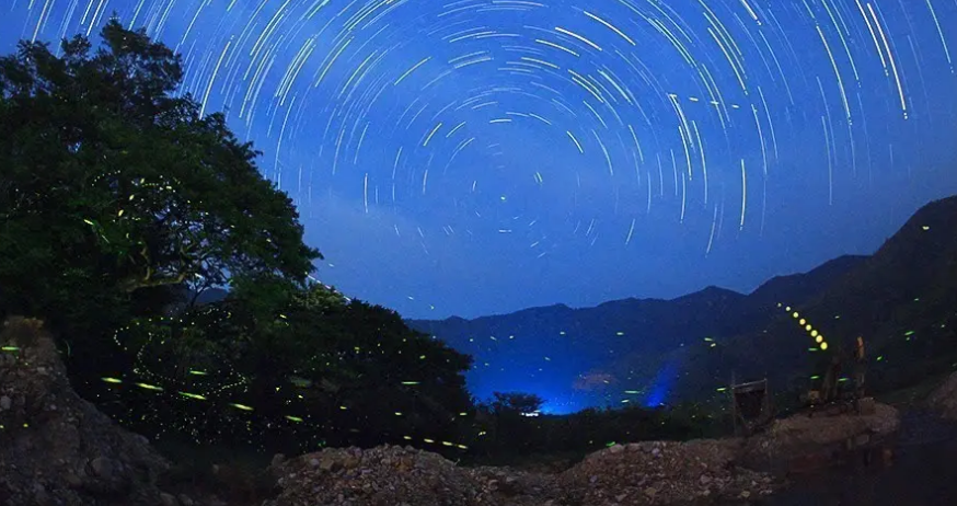 夏夜经典诗词鉴赏（十二首描写夏夜的诗词）