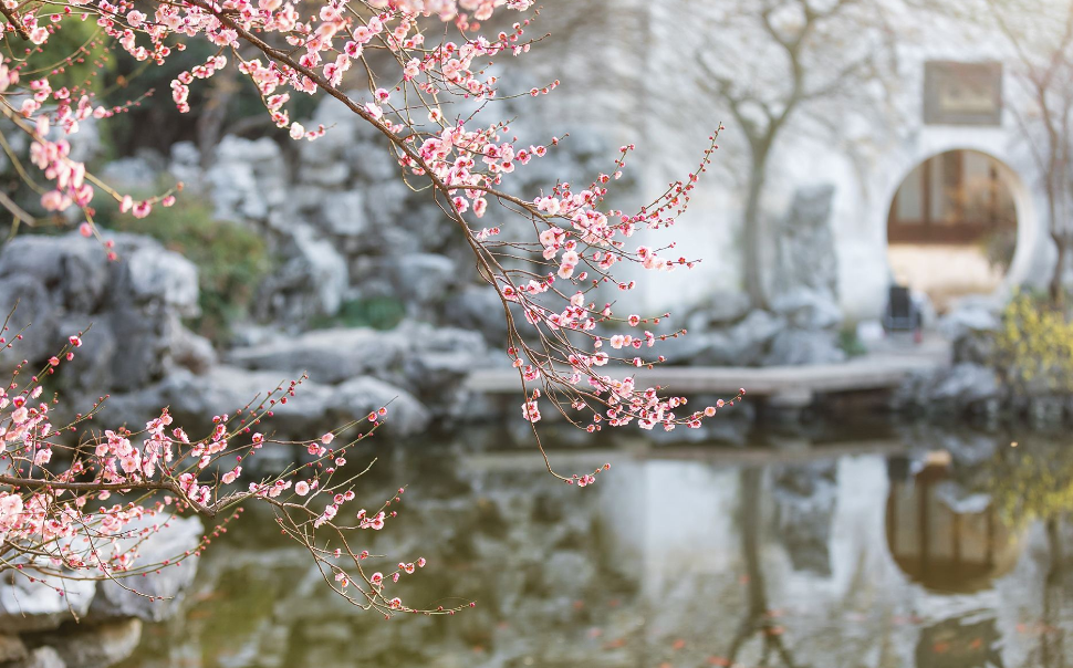 初春唯美古诗大全（十首初春诗词）