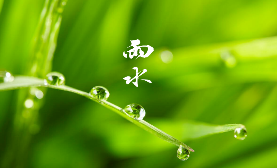 一朝春雨，润物无声（十首春雨的唯美诗词）