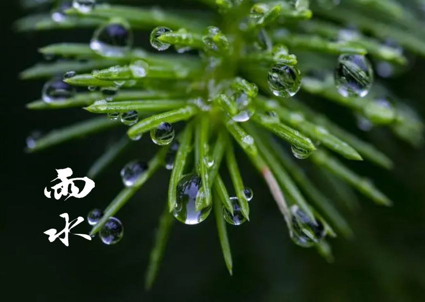 一朝春雨，润物无声（十首春雨的唯美诗词）