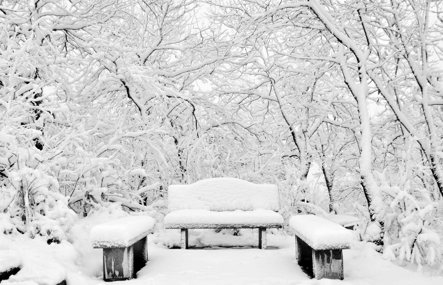 雪景优美古诗大全（十二首雪景的诗词）