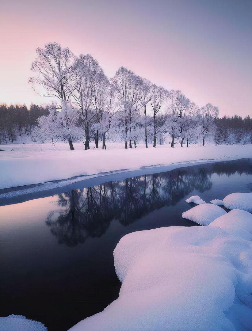 凌风知劲节，负雪见贞心（经典十一首寒松的诗词）