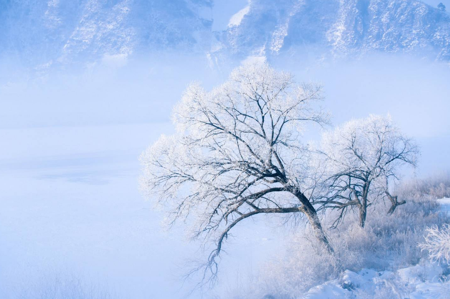 看雪优美古诗有哪些（十首看雪的诗词）