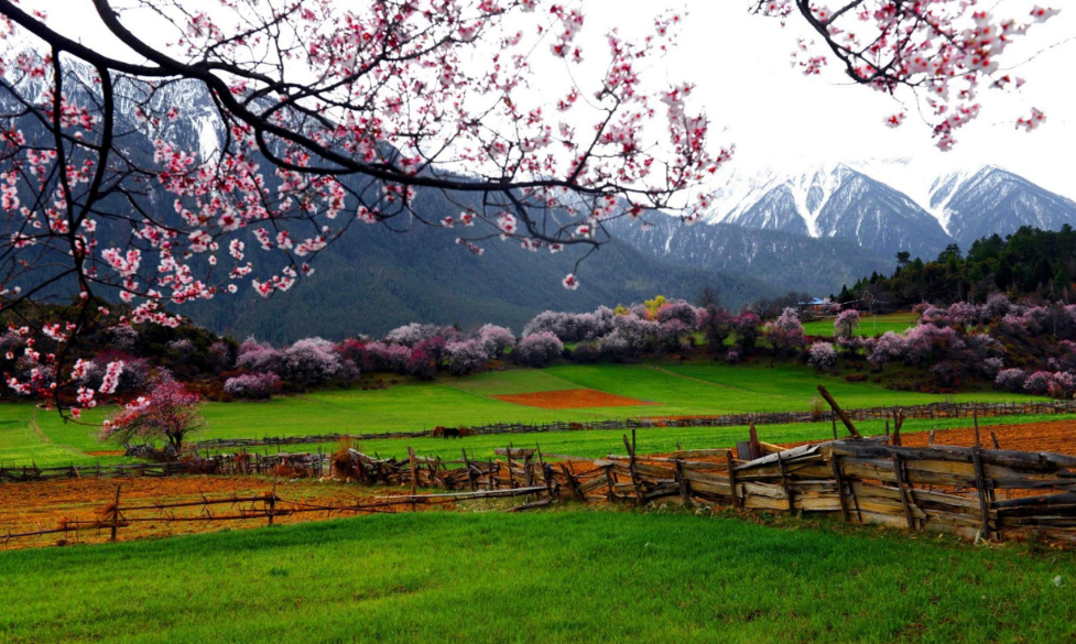 山村经典诗词大全（十首唯美山村诗词）