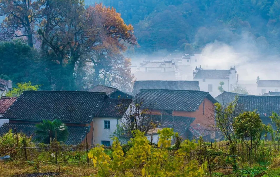 山村经典诗词大全（十首唯美山村诗词）