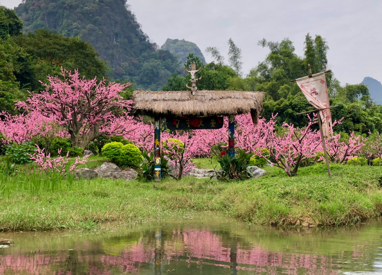 山村经典诗词大全（十首唯美山村诗词）