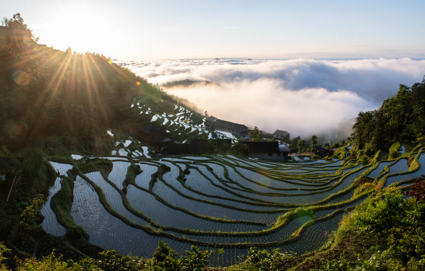 山村经典诗词大全（十首唯美山村诗词）