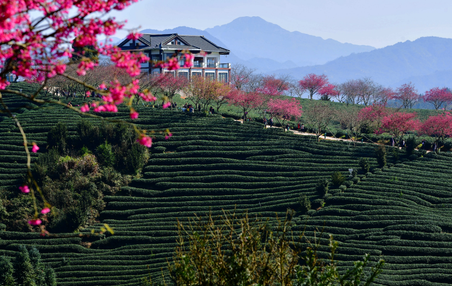 山村经典诗词大全（十首唯美山村诗词）