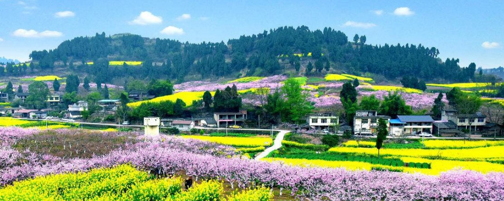 山村经典诗词大全（十首唯美山村诗词）