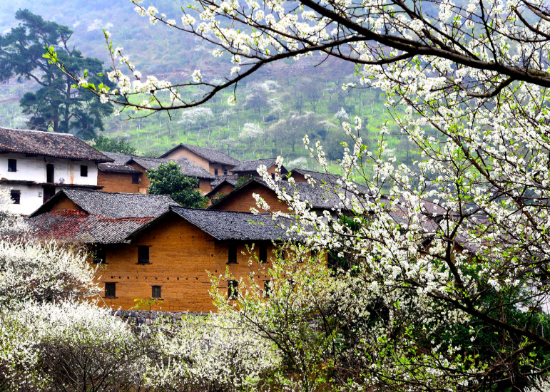 山村经典诗词大全（十首唯美山村诗词）