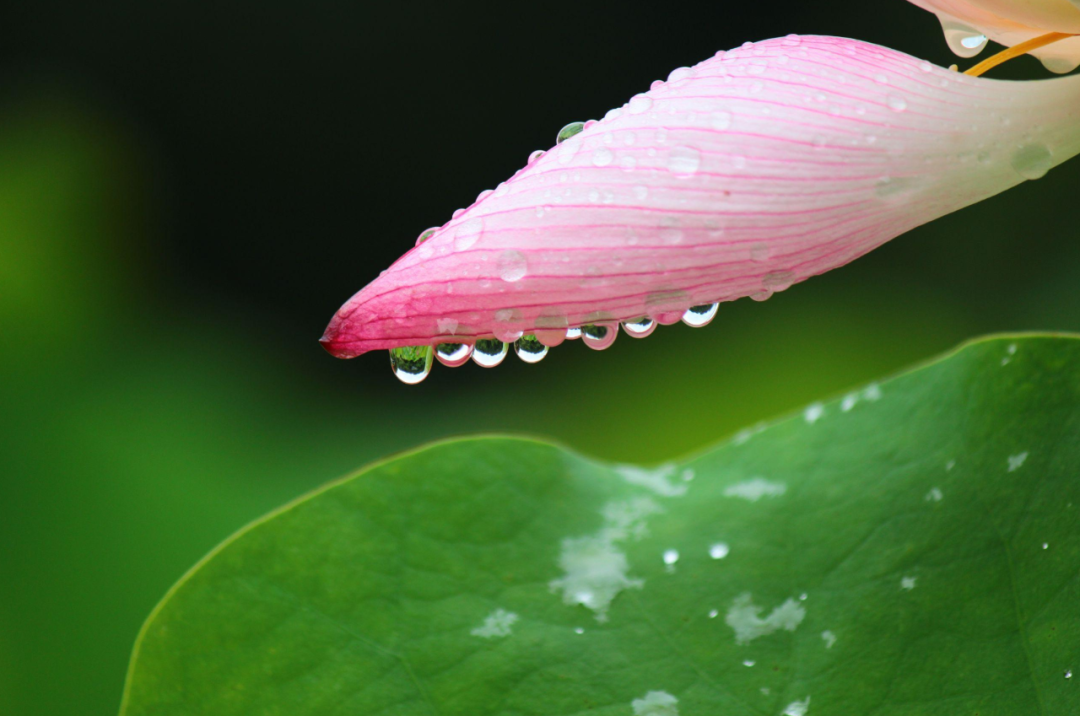 晴天诗词名句摘抄（十首雨过的诗词）