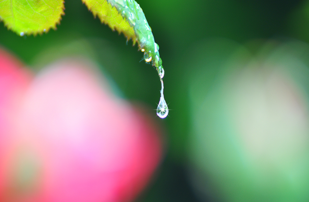 晴天诗词名句摘抄（十首雨过的诗词）