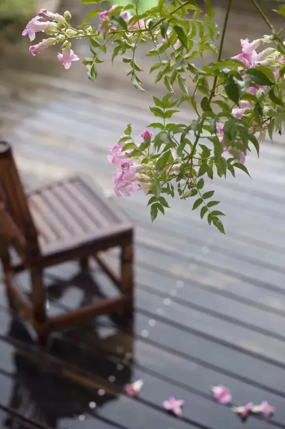 小雨诗词名句摘抄（12首有关小雨的诗词）