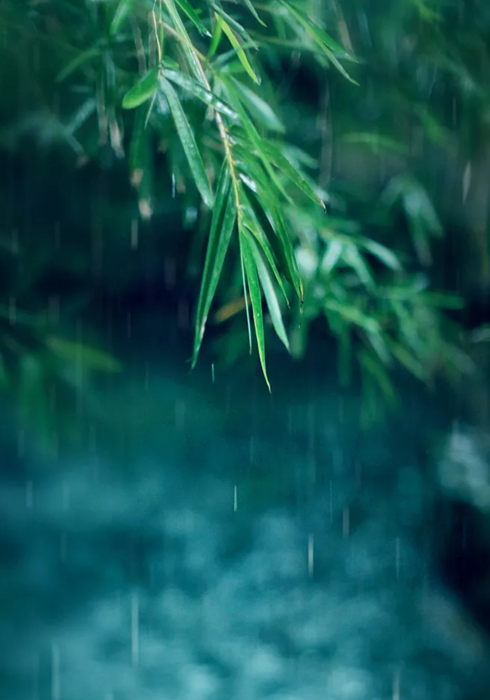 小雨诗词名句摘抄（12首有关小雨的诗词）