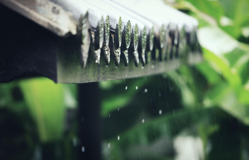 梅雨诗词名句有哪些（12首有关梅雨的诗词）