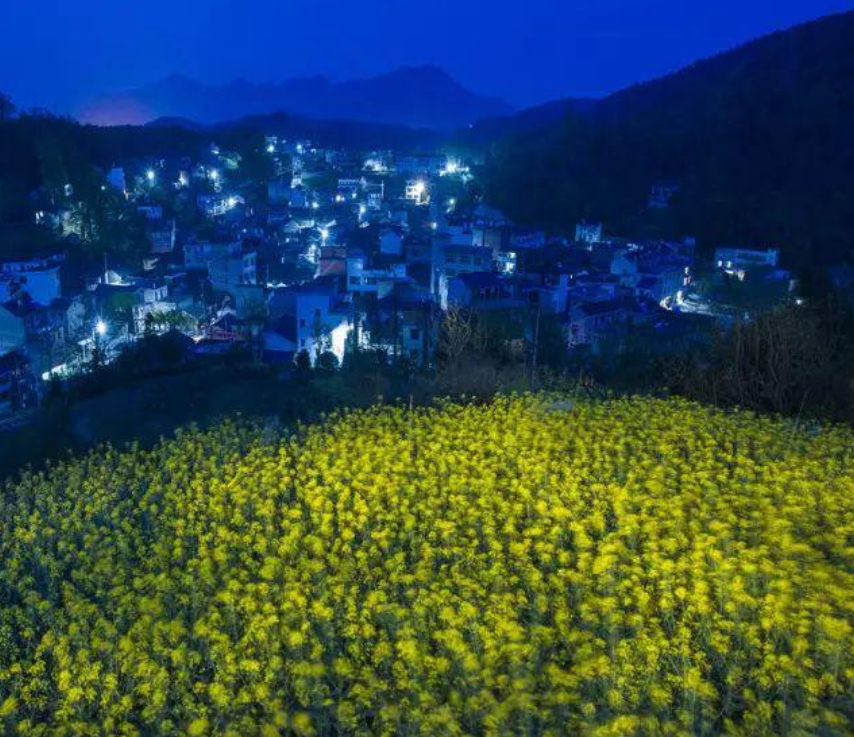 春夜诗词名句摘抄（十首春夜的诗词）