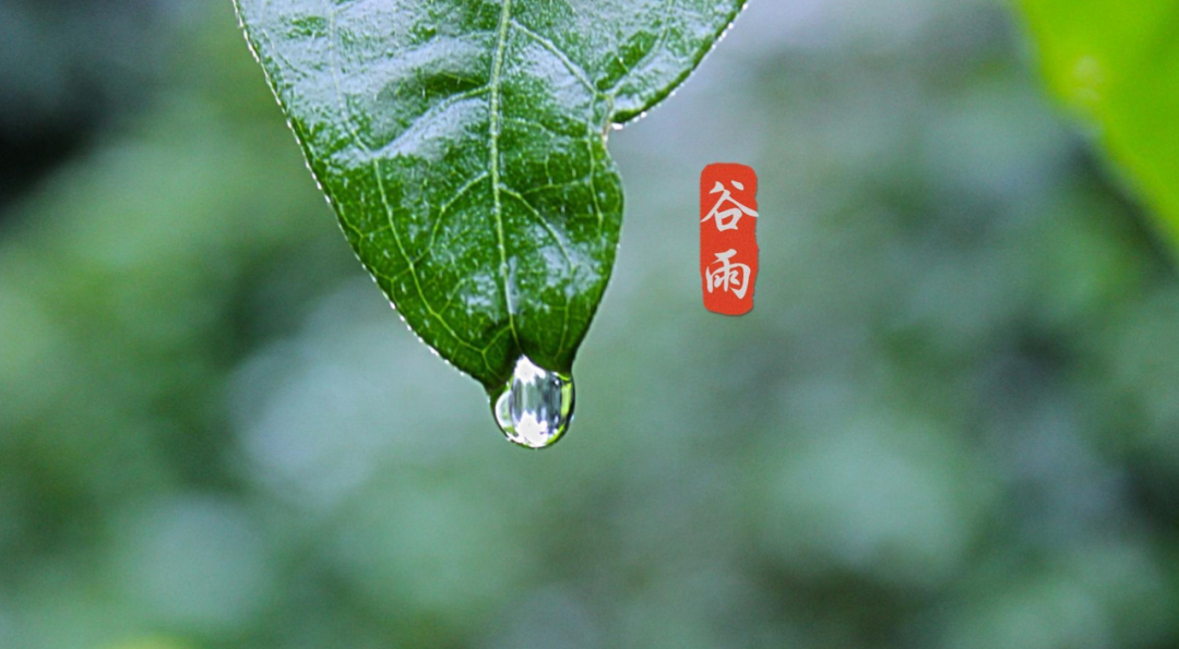 谷雨诗词名句大全（十首谷雨的诗词）