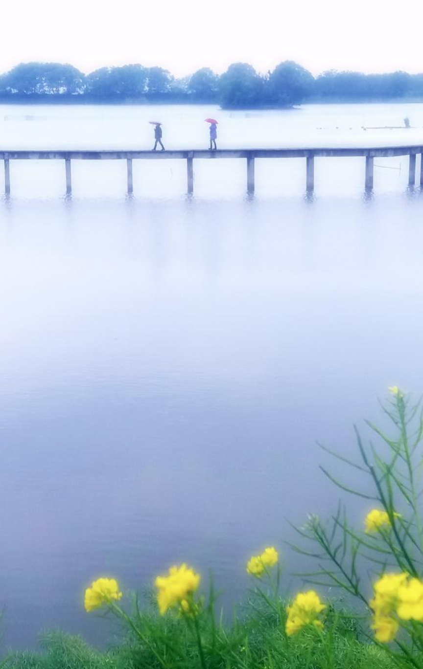 春雨诗词名句有哪些（十首春雨的诗词）