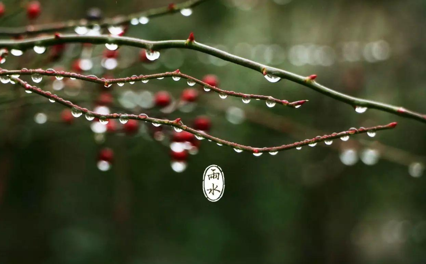 春雨诗词名句有哪些（十首春雨诗词）