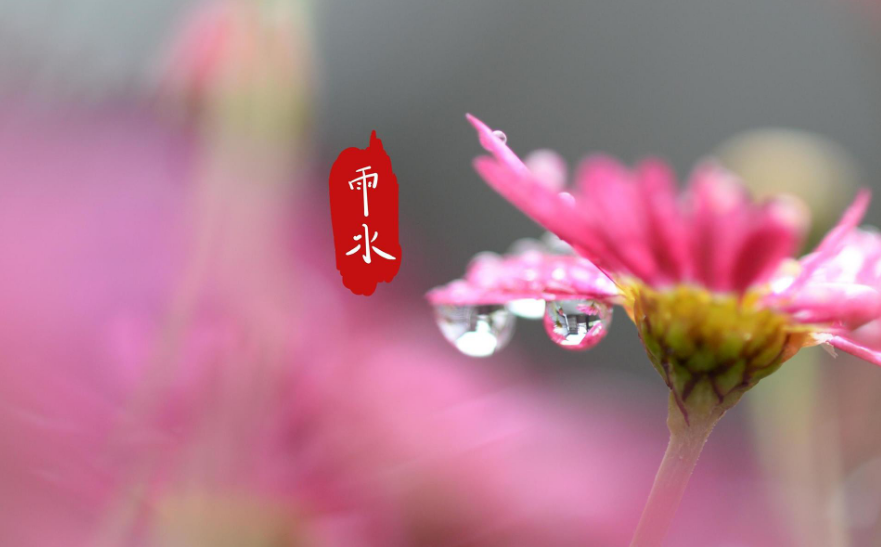 春雨诗词名句有哪些（十首春雨诗词）