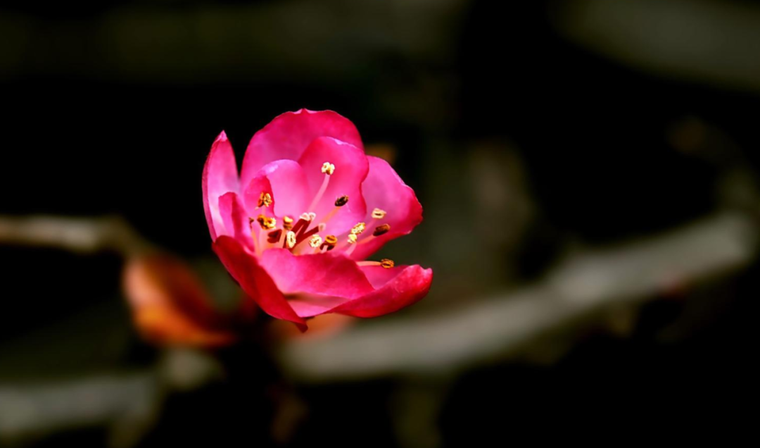 春暖花开，春意荡漾（十首立春的诗词）