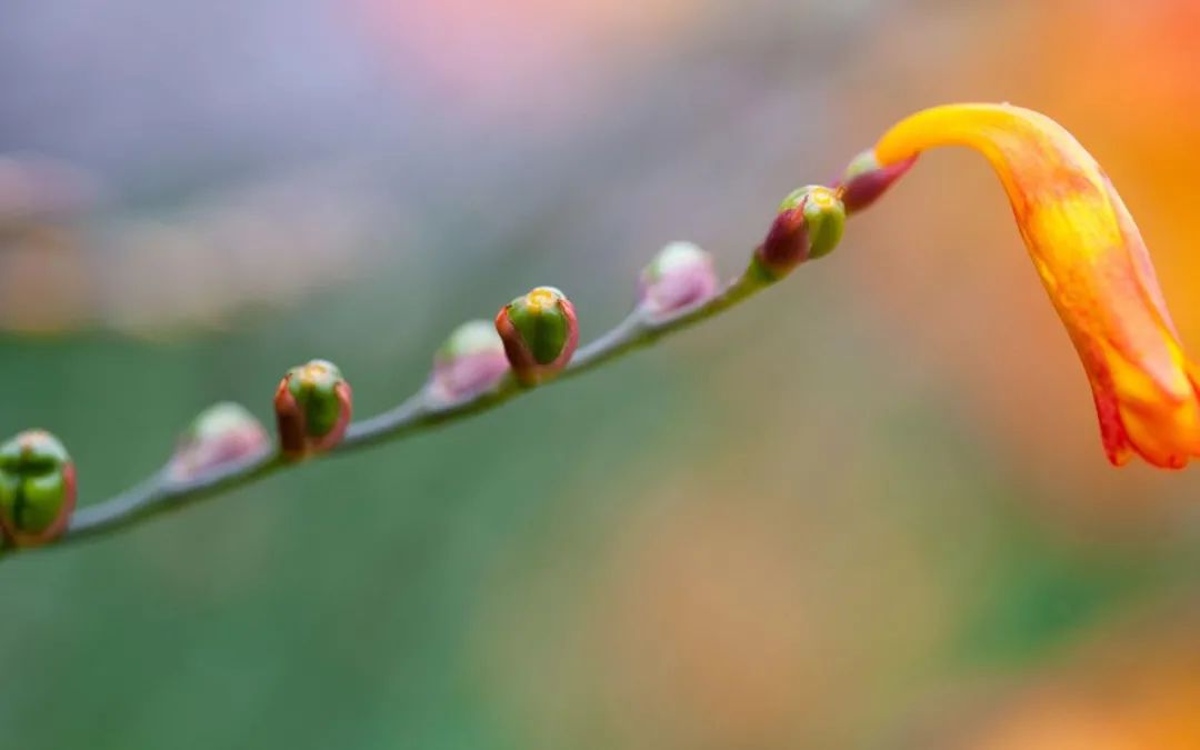 春暖花开，春意荡漾（十首立春的诗词）