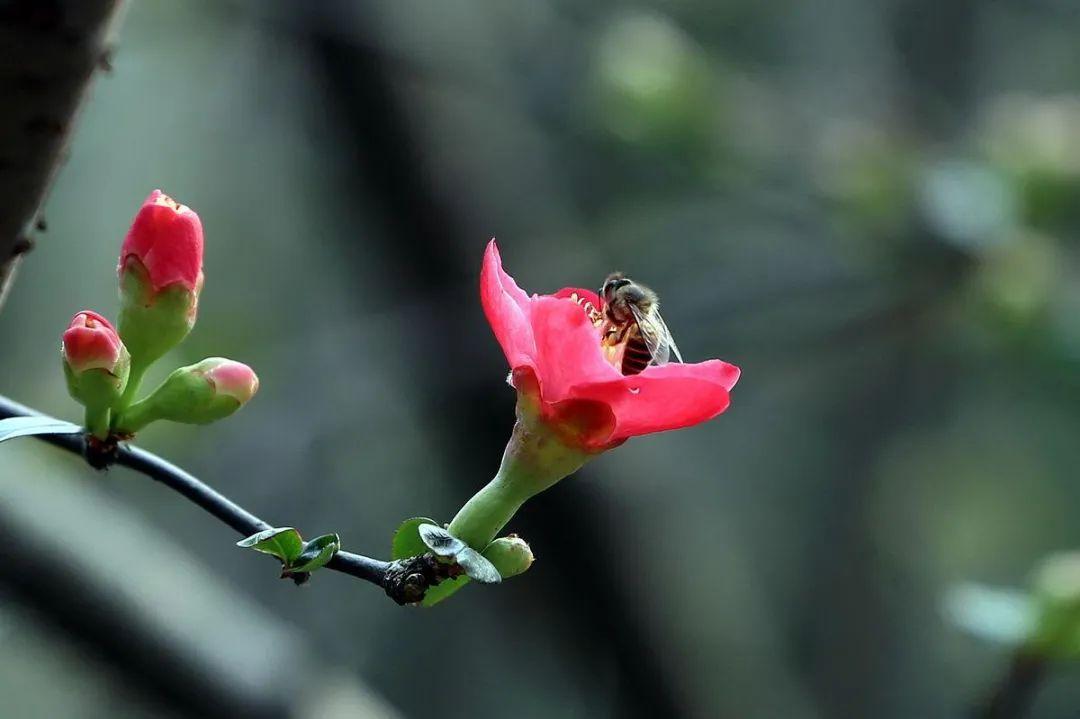 春暖花开，春意荡漾（十首立春的诗词）