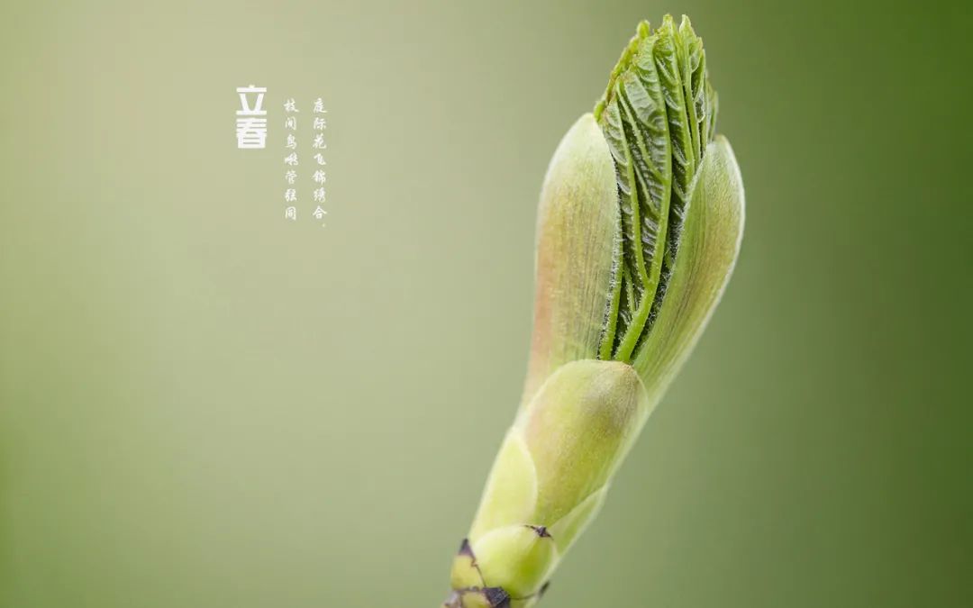 春暖花开，春意荡漾（十首立春的诗词）