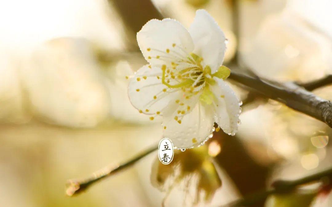 春暖花开，春意荡漾（十首立春的诗词）