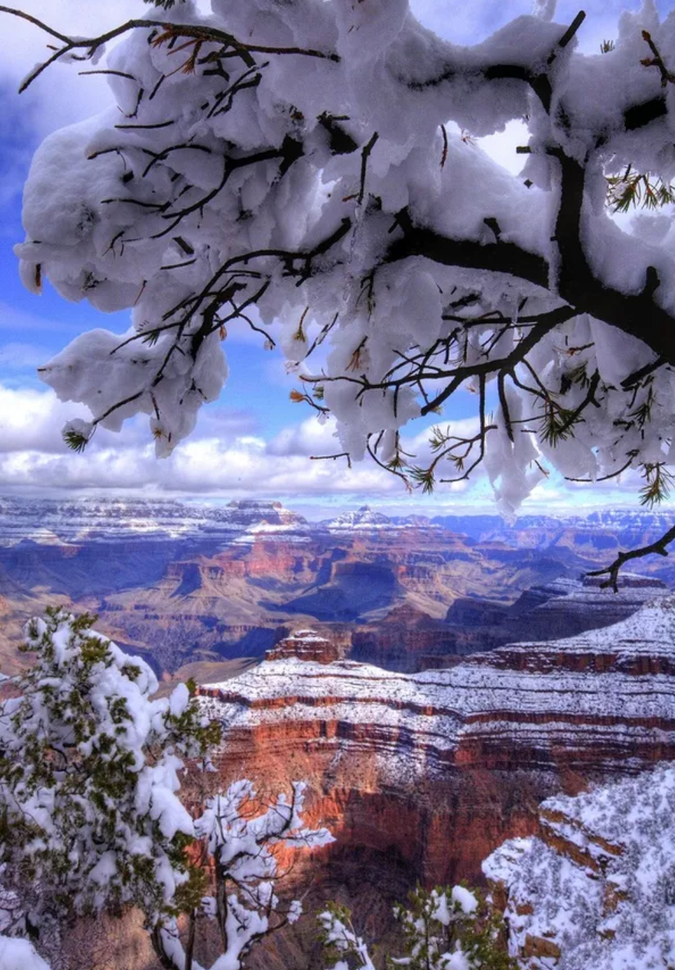 雪景诗词名句摘抄（十首写雪后景色的诗词）