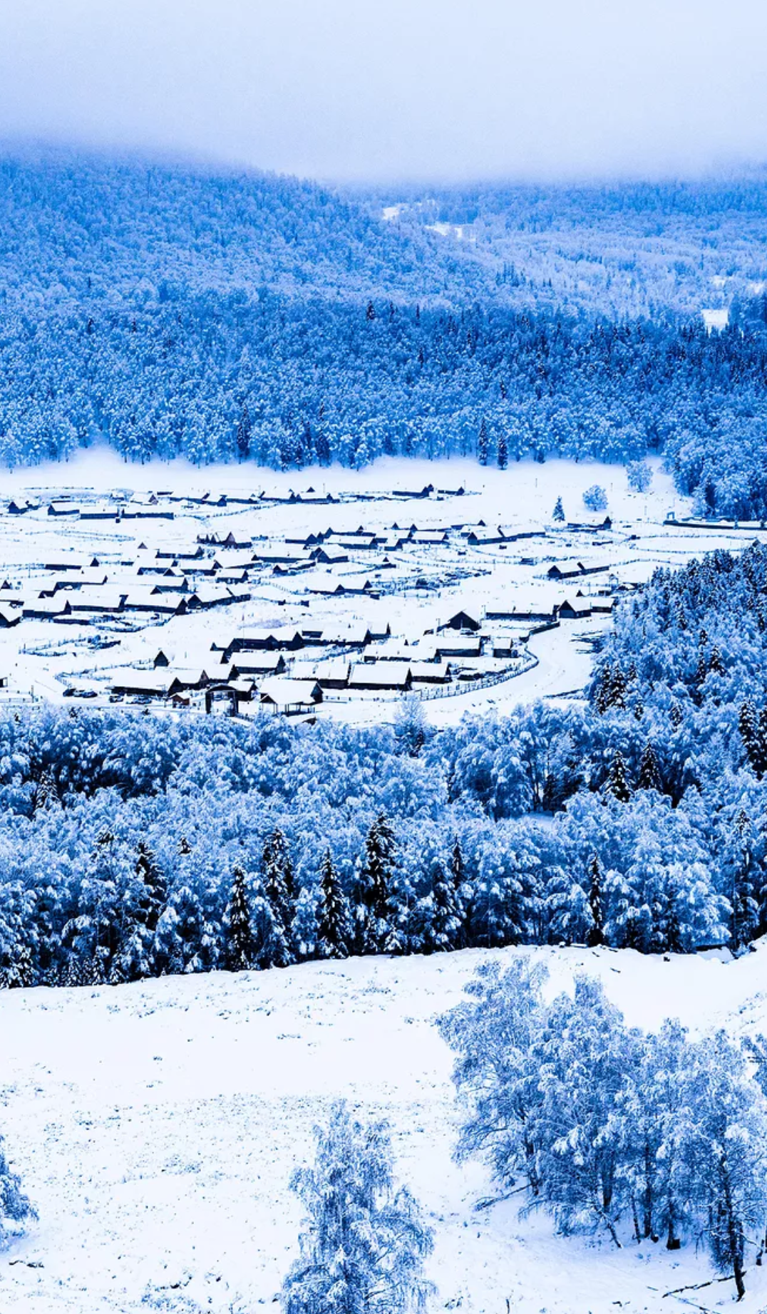 雪景诗词名句摘抄（十首写雪后景色的诗词）