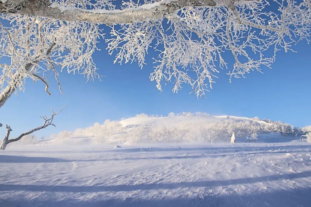 写雪优美古诗有哪些（十首写雪的著名诗词）