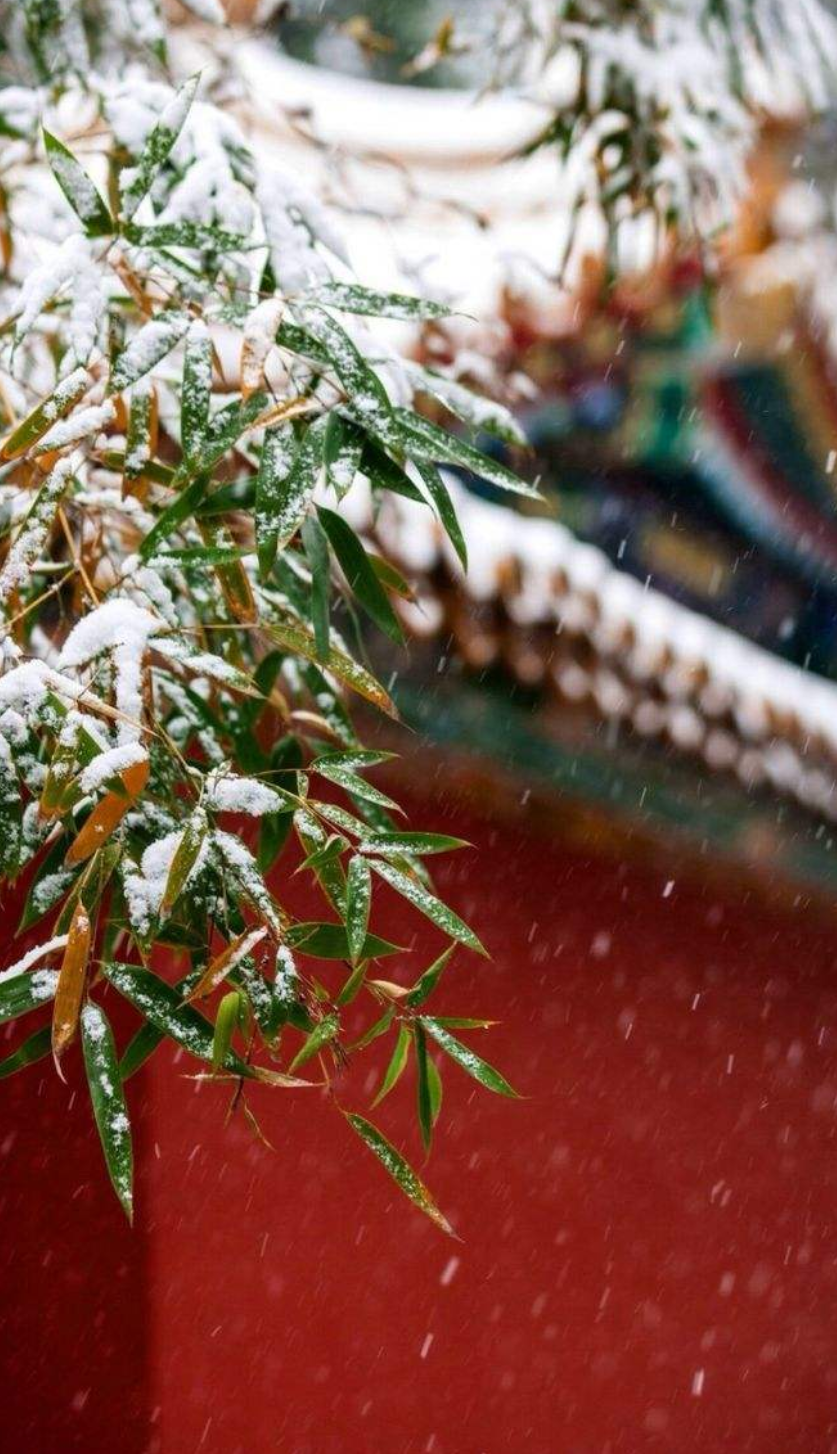 咏雪优美古诗大全（10首咏雪古诗词）