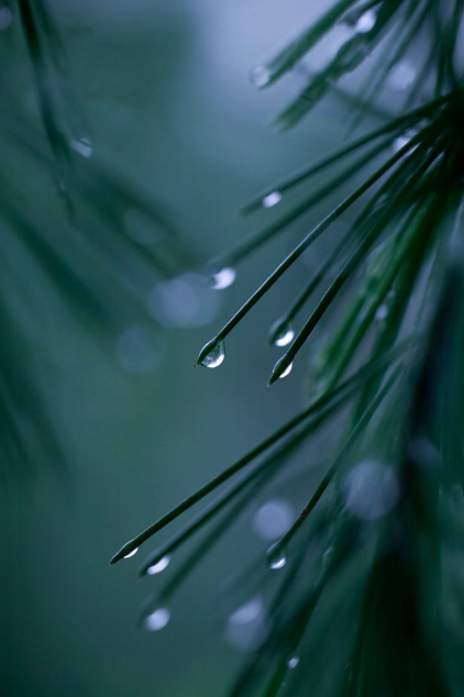 夜雨听秋 往事如烟（十首夜雨诗词）