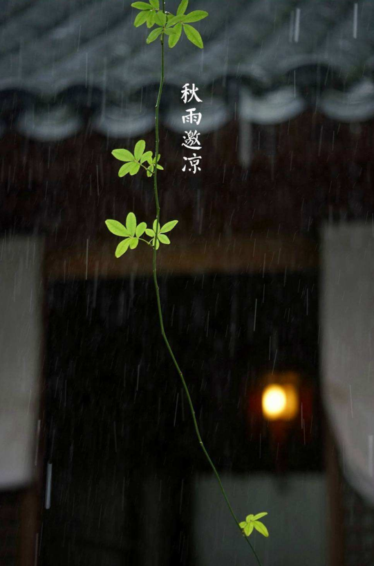 夜雨听秋 往事如烟（十首夜雨诗词）