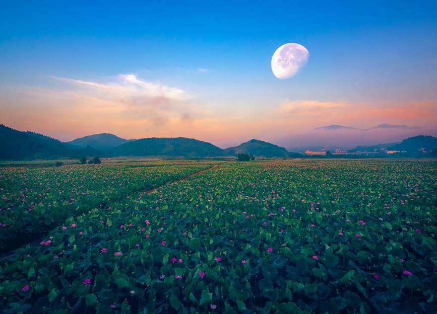 秋夜优美古诗大全（十首唯美秋夜诗词）