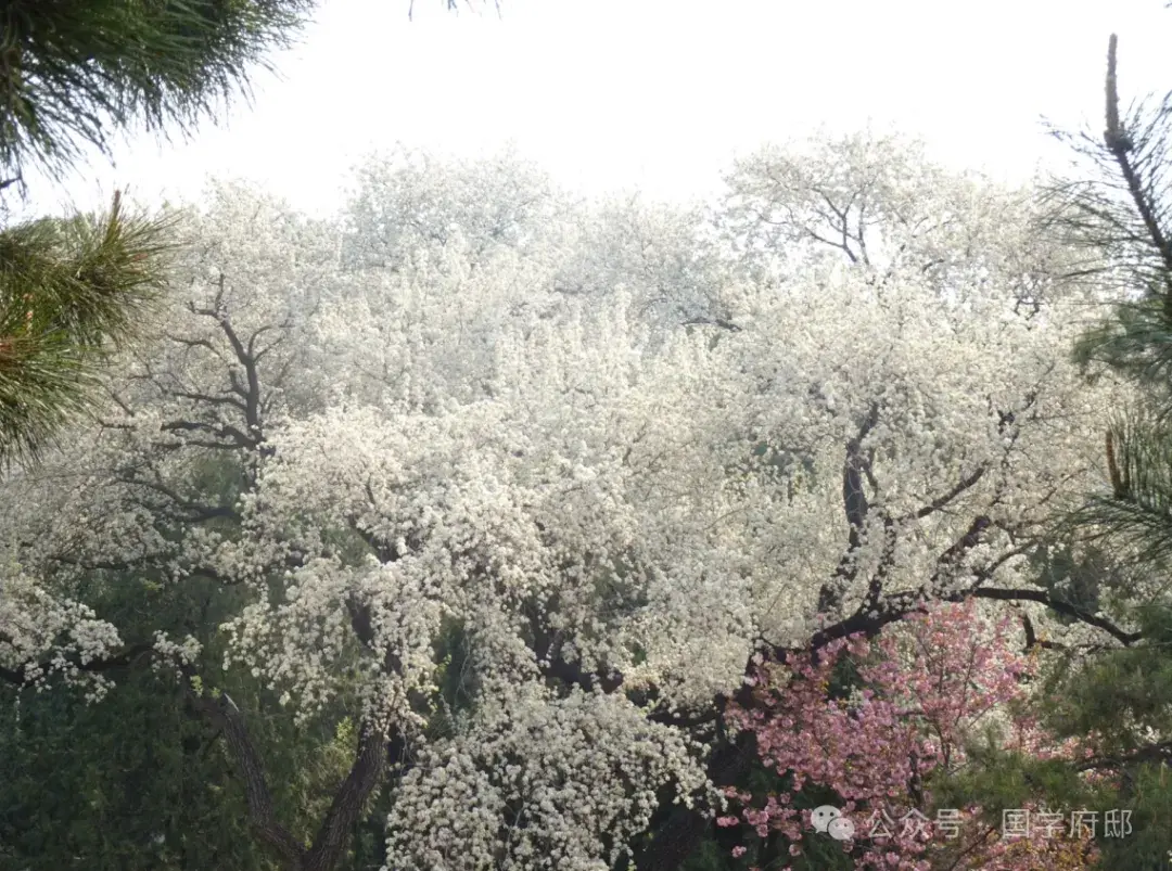 踏青诗词古句有哪些（35首春游踏青诗词）