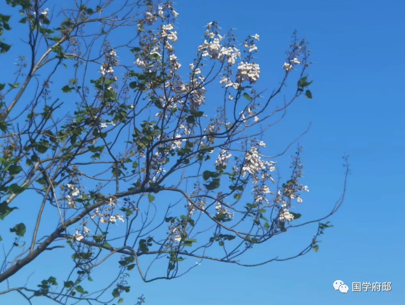 《鬼谷子》精华29句，感悟智慧谋略名言