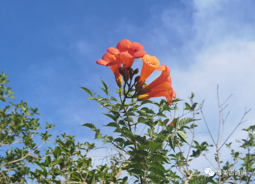 父爱经典诗词大全（十首诗词感受父爱如山）