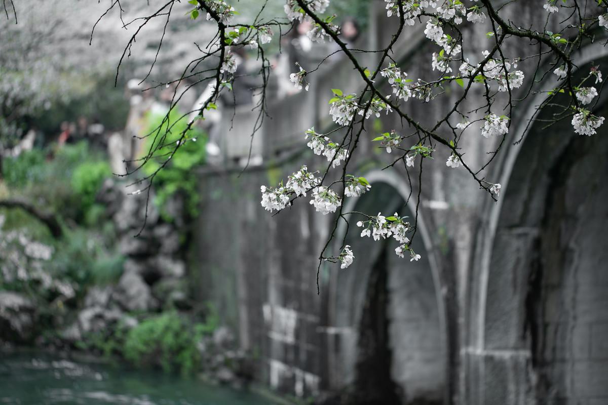 春雨经典诗词有哪些（10句经典春雨古诗）