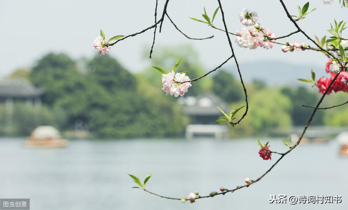 梨花风起正清明，游子寻春半出城（清明节31首古诗词）