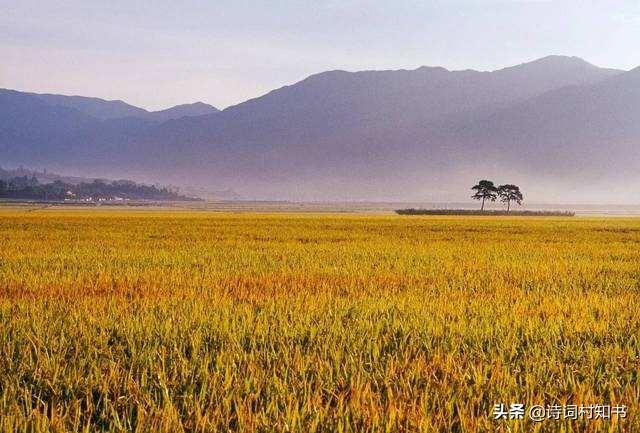 立秋古诗词13首鉴赏（秋风吹雨过南楼，一夜新凉是立秋）