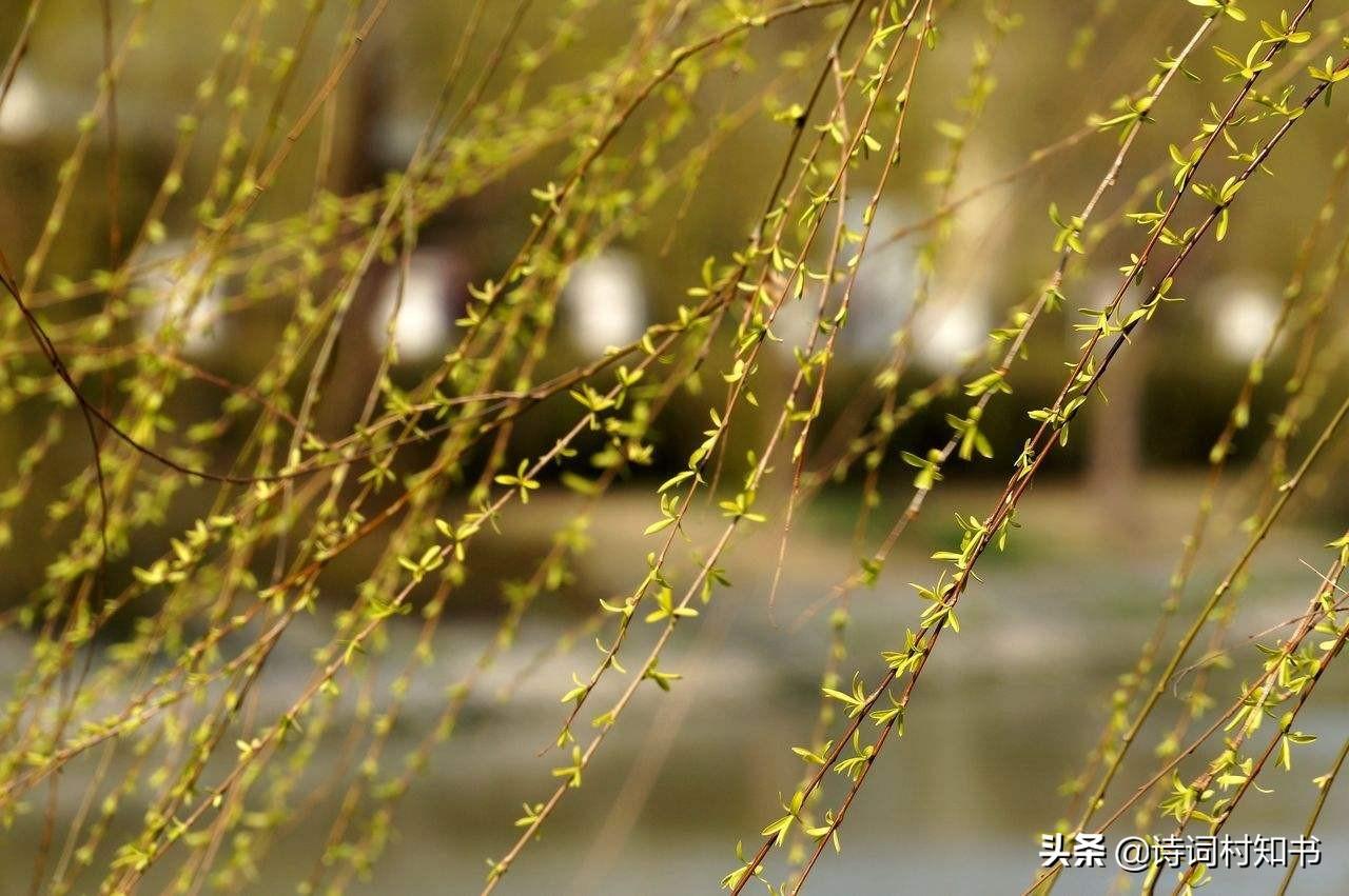 春风唯美古诗有哪些（春风古诗词23首）