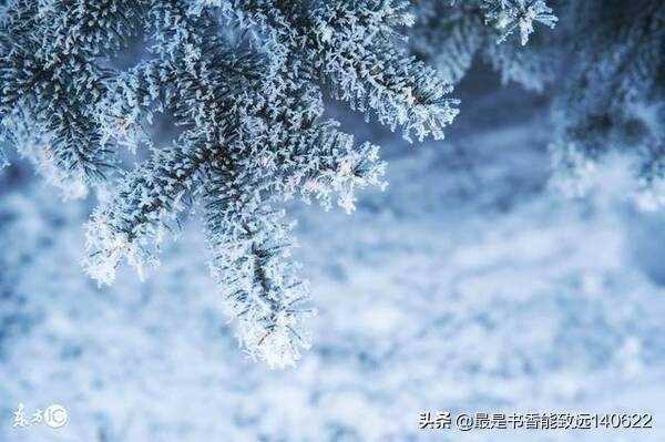 下雪经典诗词名句（100句雪的经典古诗句）