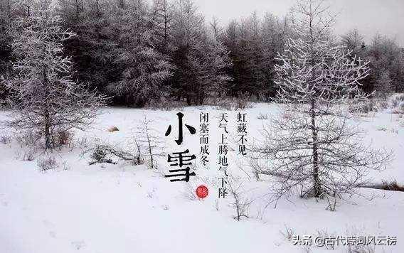 小雪唯美古诗大全（唯美的小雪诗词名句）