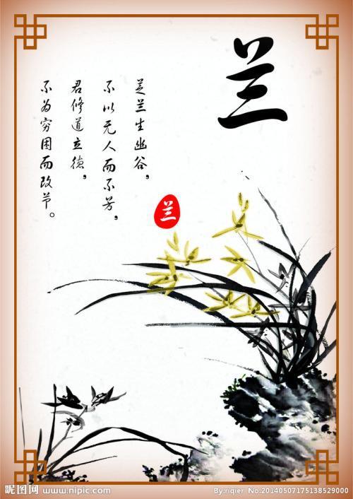 关于兰花的句子诗句（以兰花的唯美句子唯美为主题）