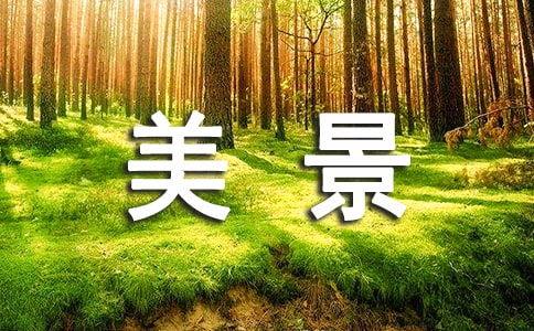 形容一个地方风景很好的句子（走进这个世外桃源，感受大自然的美好）