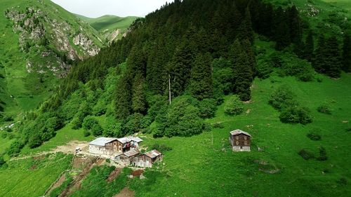 形容高山美景的句子100（高山美景）