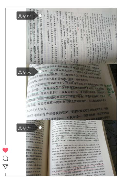 关于简爱好词好句（探寻内心的真实）