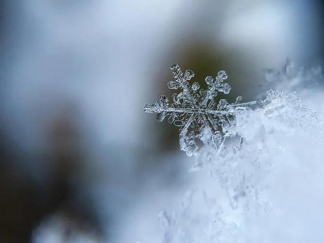 关于雪的句子唯美（雪之美——一场银装素裹的视觉盛宴）